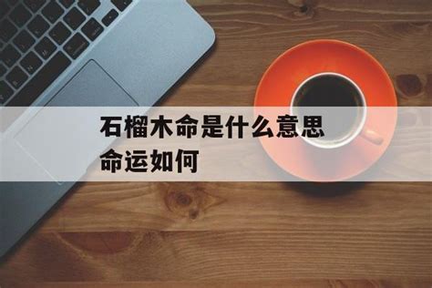 石榴木命 什么意思|石榴木命是什么意思 – 石榴木命好不好